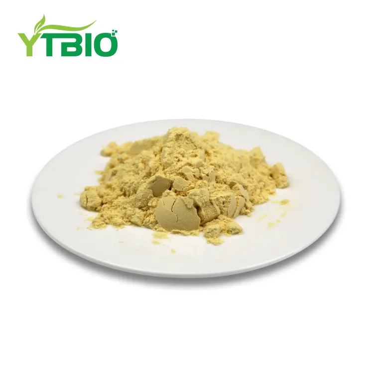 Caffeic Acid Powder